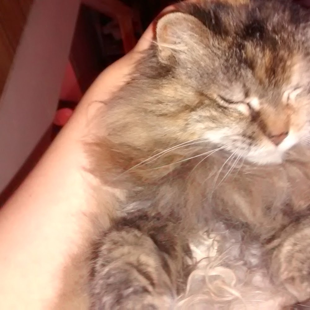 Meet your Posher, Kat